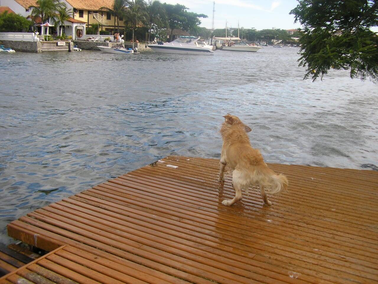 #2008 - Casa para Venda em Cabo Frio - RJ